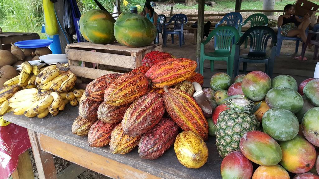 Hostal Maravilla Amazonica 伊基托斯 外观 照片